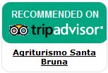 TripAdvisor.com